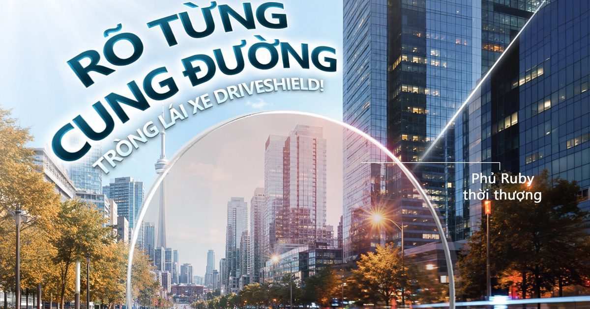 TRONGKINH.VN • Tròng Kính Chính Hãng Uy Tín Tại Tp. Hồ Chí Minh